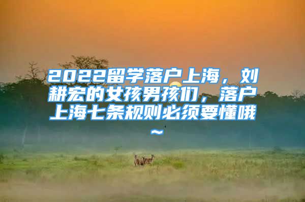 2022留學(xué)落戶上海，劉耕宏的女孩男孩們，落戶上海七條規(guī)則必須要懂哦～