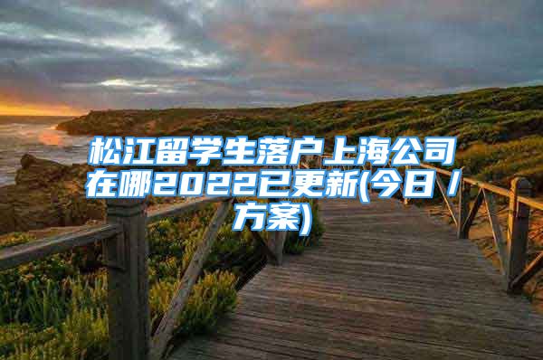 松江留學(xué)生落戶上海公司在哪2022已更新(今日／方案)