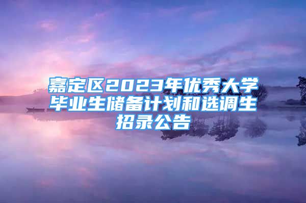 嘉定區(qū)2023年優(yōu)秀大學(xué)畢業(yè)生儲(chǔ)備計(jì)劃和選調(diào)生招錄公告