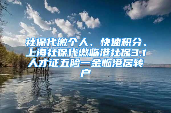 社保代繳個人、快速積分、上海社保代繳臨港社保3.1人才證五險一金臨港居轉(zhuǎn)戶