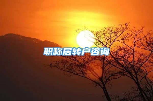 職稱居轉(zhuǎn)戶咨詢