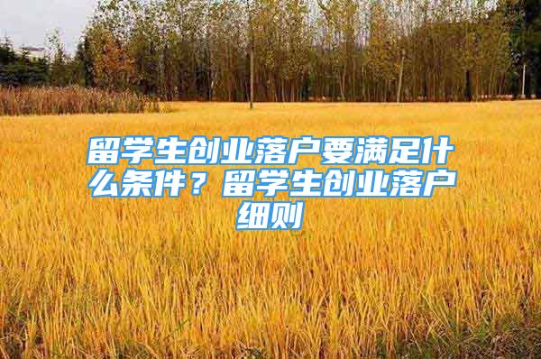 留學(xué)生創(chuàng)業(yè)落戶要滿足什么條件？留學(xué)生創(chuàng)業(yè)落戶細(xì)則