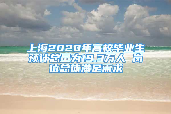 上海2020年高校畢業(yè)生預(yù)計總量為19.3萬人 崗位總體滿足需求