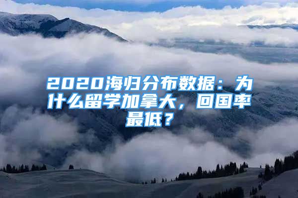 2020海歸分布數(shù)據(jù)：為什么留學(xué)加拿大，回國(guó)率最低？