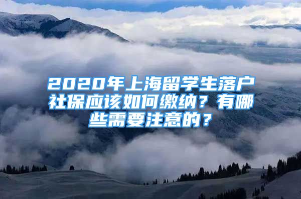 2020年上海留學生落戶社保應該如何繳納？有哪些需要注意的？