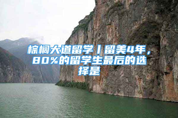 棕櫚大道留學丨留美4年，80%的留學生最后的選擇是