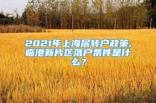 2021年上海居轉(zhuǎn)戶政策,臨港新片區(qū)落戶條件是什么？