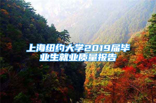 上海紐約大學2019屆畢業(yè)生就業(yè)質量報告