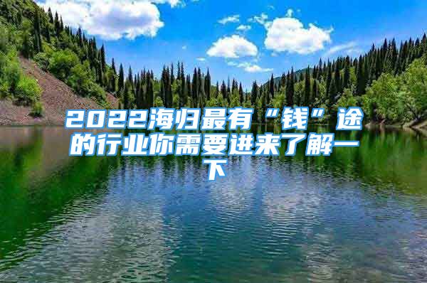 2022海歸最有“錢”途的行業(yè)你需要進來了解一下