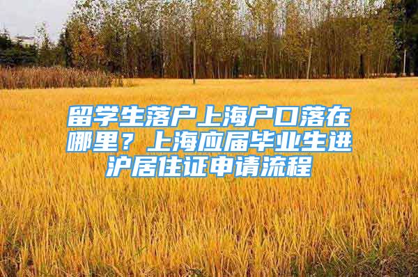 留學(xué)生落戶上海戶口落在哪里？上海應(yīng)屆畢業(yè)生進(jìn)滬居住證申請流程