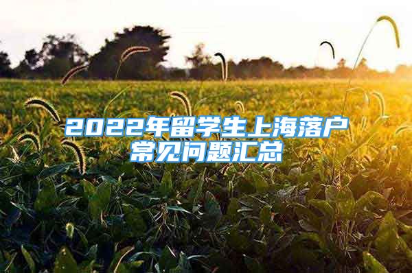 2022年留學(xué)生上海落戶常見問題匯總