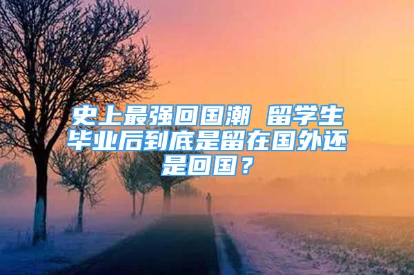 史上最強回國潮 留學(xué)生畢業(yè)后到底是留在國外還是回國？