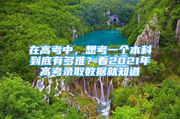 在高考中，想考一個本科到底有多難？看2021年高考錄取數(shù)據(jù)就知道