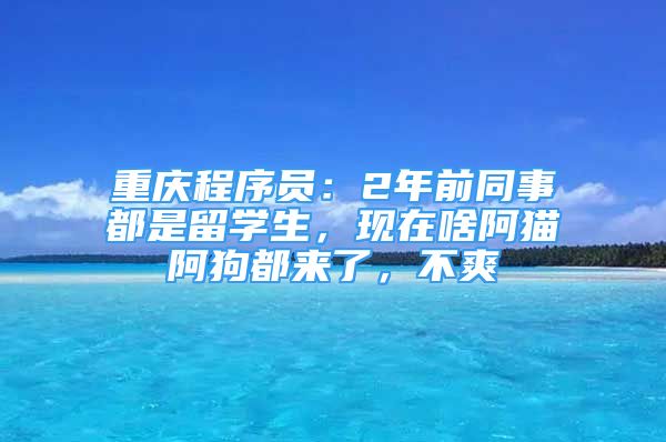 重慶程序員：2年前同事都是留學(xué)生，現(xiàn)在啥阿貓阿狗都來了，不爽