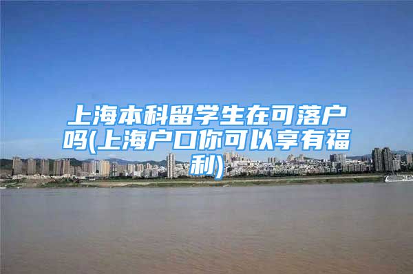 上海本科留學(xué)生在可落戶嗎(上海戶口你可以享有福利)