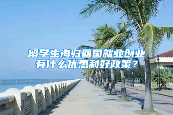 留學(xué)生海歸回國(guó)就業(yè)創(chuàng)業(yè)有什么優(yōu)惠利好政策？