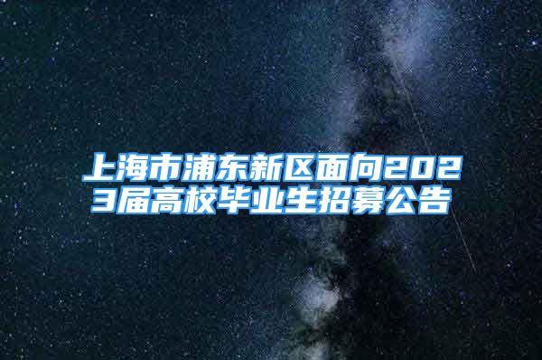 上海市浦東新區(qū)面向2023屆高校畢業(yè)生招募公告