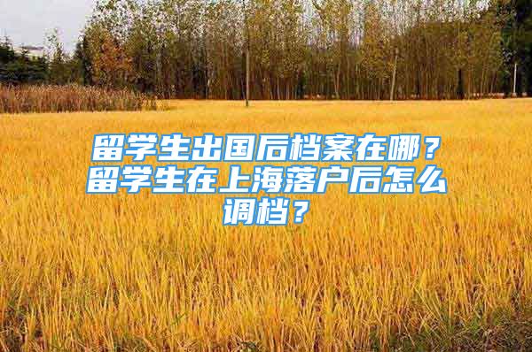 留學(xué)生出國后檔案在哪？留學(xué)生在上海落戶后怎么調(diào)檔？