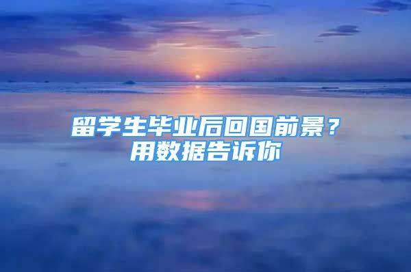 留學(xué)生畢業(yè)后回國(guó)前景？用數(shù)據(jù)告訴你