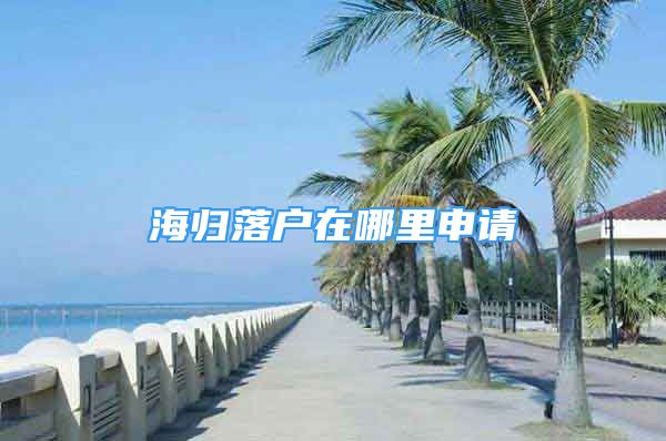 海歸落戶在哪里申請(qǐng)