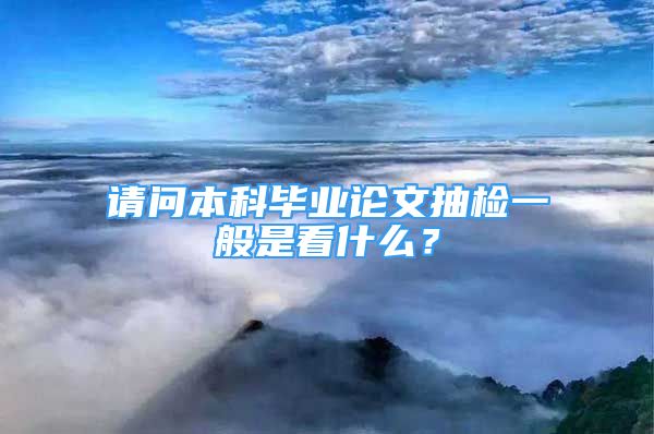 請問本科畢業(yè)論文抽檢一般是看什么？