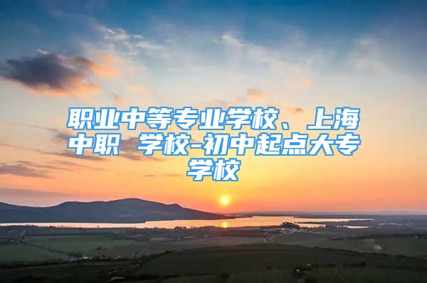 職業(yè)中等專業(yè)學(xué)校、上海中職 學(xué)校-初中起點(diǎn)大專學(xué)校