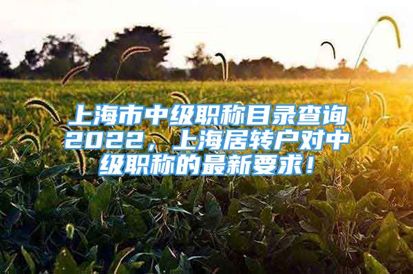 上海市中級職稱目錄查詢2022，上海居轉(zhuǎn)戶對中級職稱的最新要求！