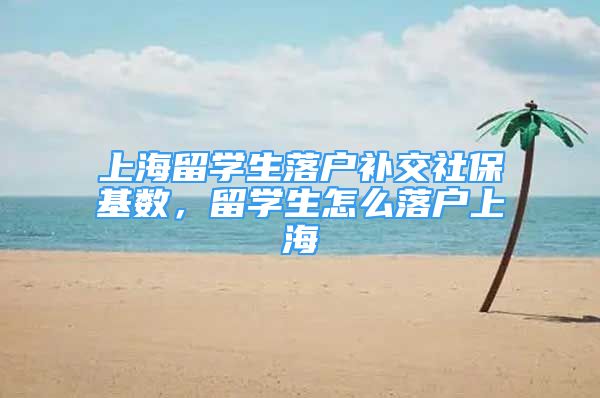 上海留學(xué)生落戶補(bǔ)交社?；鶖?shù)，留學(xué)生怎么落戶上海