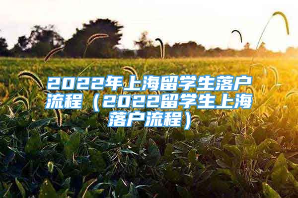 2022年上海留學(xué)生落戶(hù)流程（2022留學(xué)生上海落戶(hù)流程）