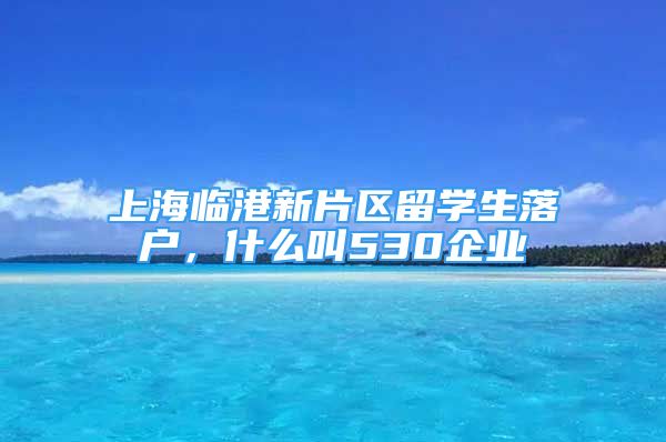 上海臨港新片區(qū)留學(xué)生落戶，什么叫530企業(yè)