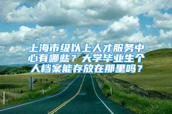 上海市級以上人才服務中心有哪些？大學畢業(yè)生個人檔案能存放在那里嗎？