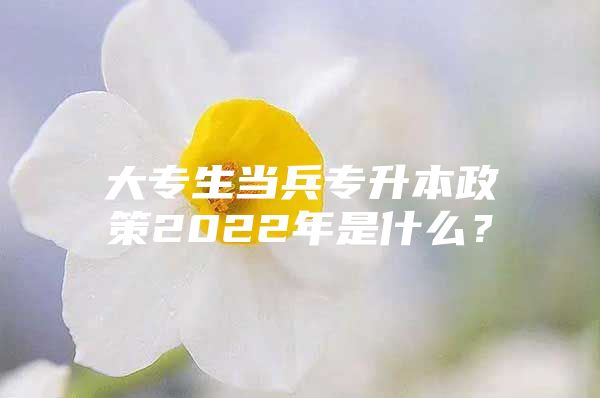 大專生當(dāng)兵專升本政策2022年是什么？