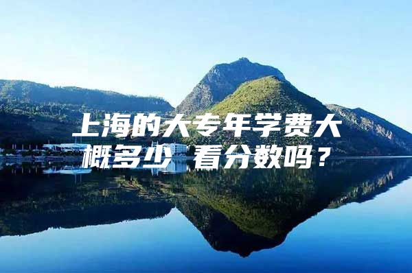 上海的大專年學(xué)費(fèi)大概多少 看分?jǐn)?shù)嗎？