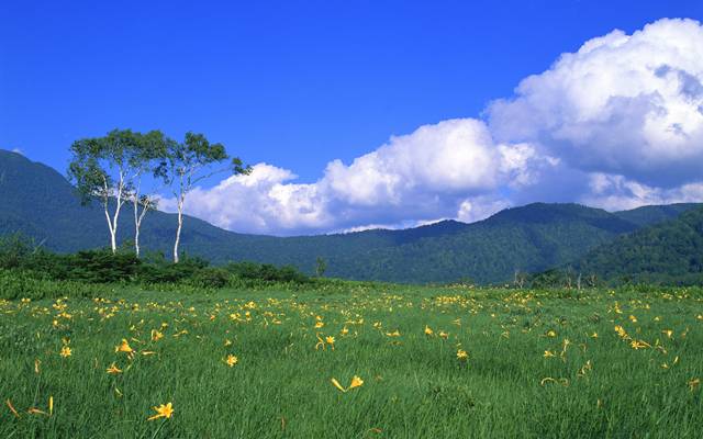 上海留學(xué)生落戶辦理需要多長(zhǎng)時(shí)間？上海留學(xué)生落戶靠譜中介