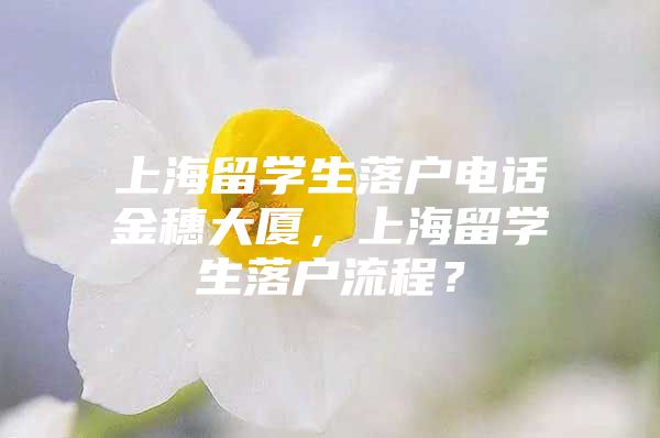 上海留學生落戶電話金穗大廈，上海留學生落戶流程？