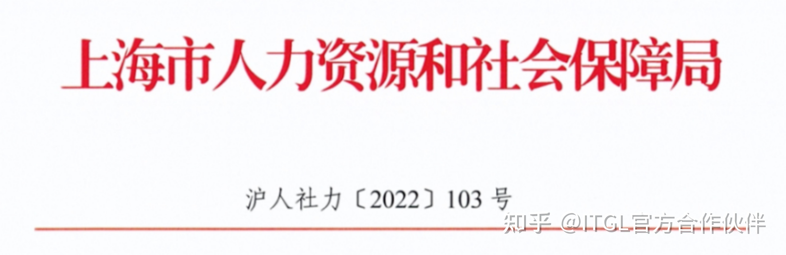 上海出臺人才新政，世界TOP50名校留學生無需社保直接落戶