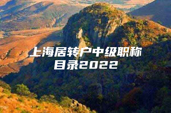 上海居轉(zhuǎn)戶中級職稱目錄2022