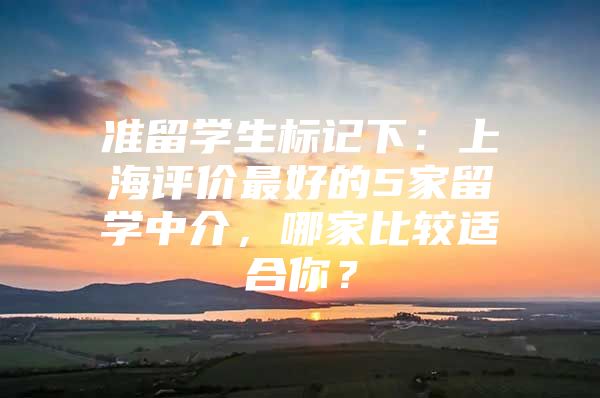 準(zhǔn)留學(xué)生標(biāo)記下：上海評價最好的5家留學(xué)中介，哪家比較適合你？