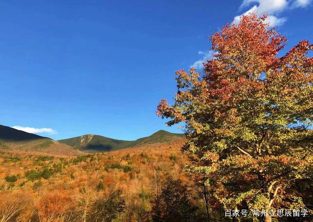 一起來(lái)探討下，美國(guó)藝術(shù)留學(xué)生回國(guó)就業(yè)前景如何？