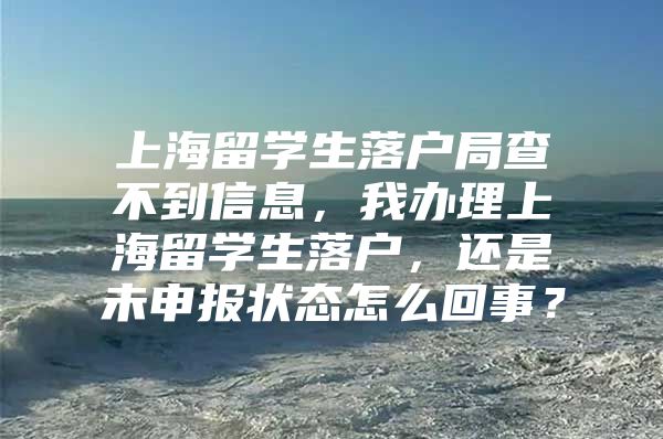 上海留學(xué)生落戶局查不到信息，我辦理上海留學(xué)生落戶，還是未申報狀態(tài)怎么回事？