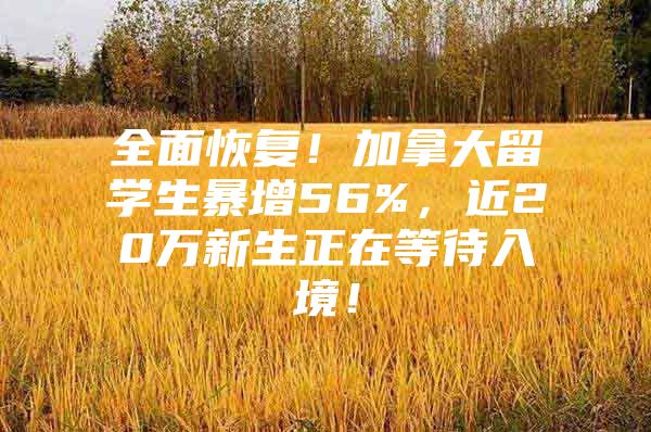 全面恢復(fù)！加拿大留學(xué)生暴增56%，近20萬新生正在等待入境！