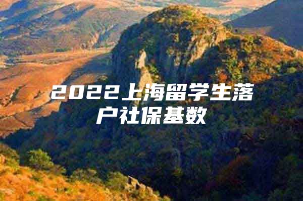 2022上海留學(xué)生落戶社保基數(shù)