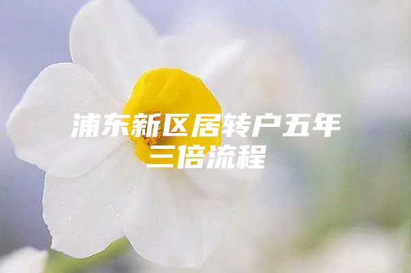 浦東新區(qū)居轉(zhuǎn)戶五年三倍流程