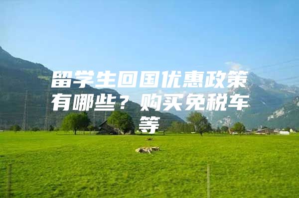 留學(xué)生回國優(yōu)惠政策有哪些？購買免稅車等