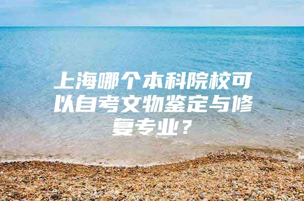 上海哪個本科院?？梢宰钥嘉奈镨b定與修復專業(yè)？