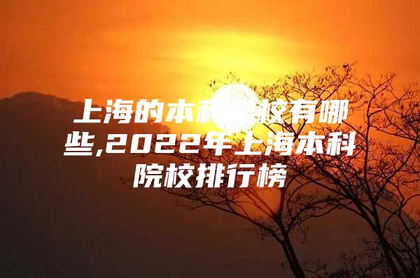 上海的本科學(xué)校有哪些,2022年上海本科院校排行榜