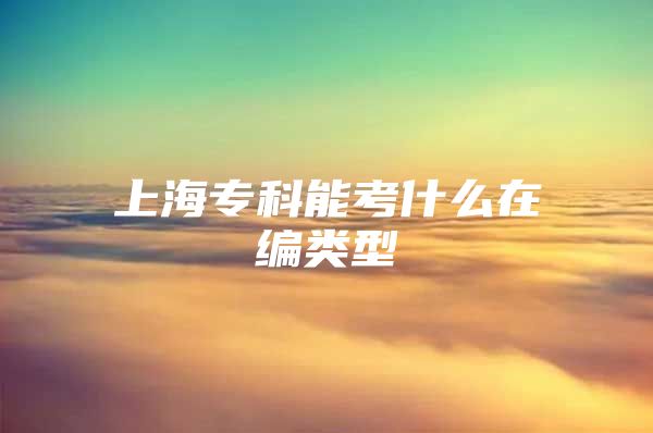 上海專科能考什么在編類型