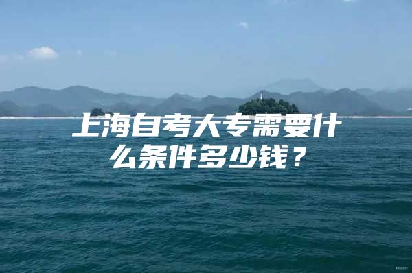 上海自考大專需要什么條件多少錢？