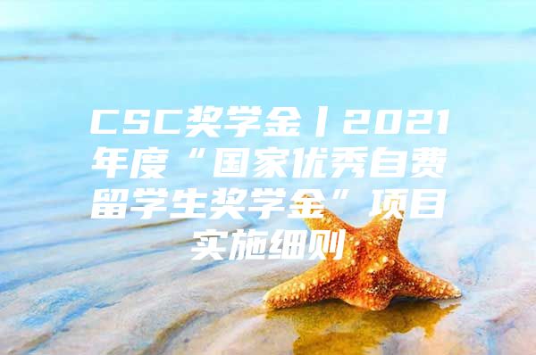 CSC獎學(xué)金丨2021年度“國家優(yōu)秀自費留學(xué)生獎學(xué)金”項目實施細(xì)則