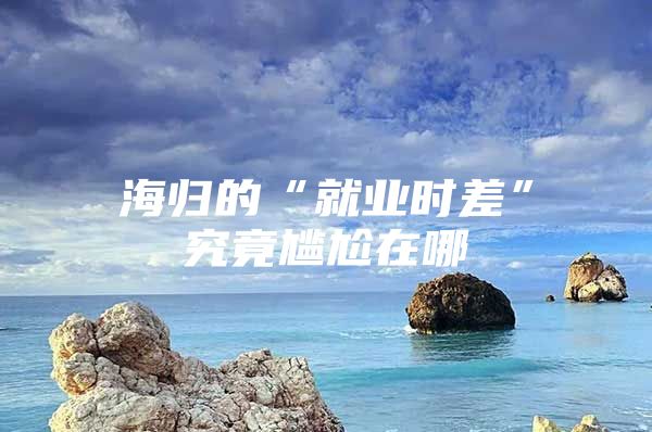 海歸的“就業(yè)時差”究竟尷尬在哪